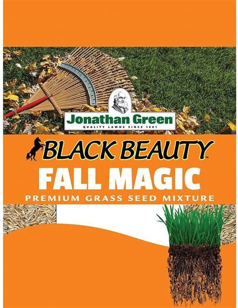 Say hello to a greener, more vibrant lawn with Black Beauty Fall Magic grass seed.
